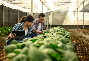 Imagem de capa dos cards