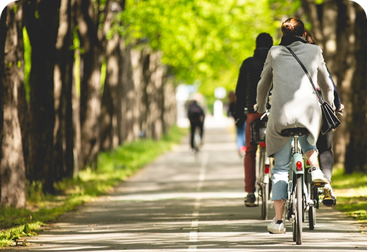 Imagem de capa dos cards